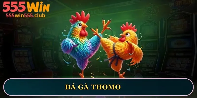 đá gà thomo