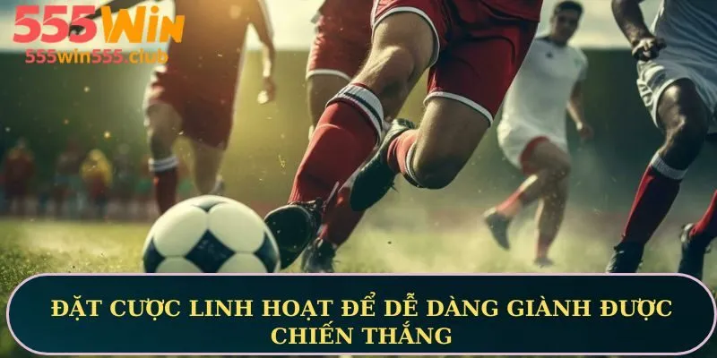 Đặt cược linh hoạt để dễ dàng giành được chiến thắng